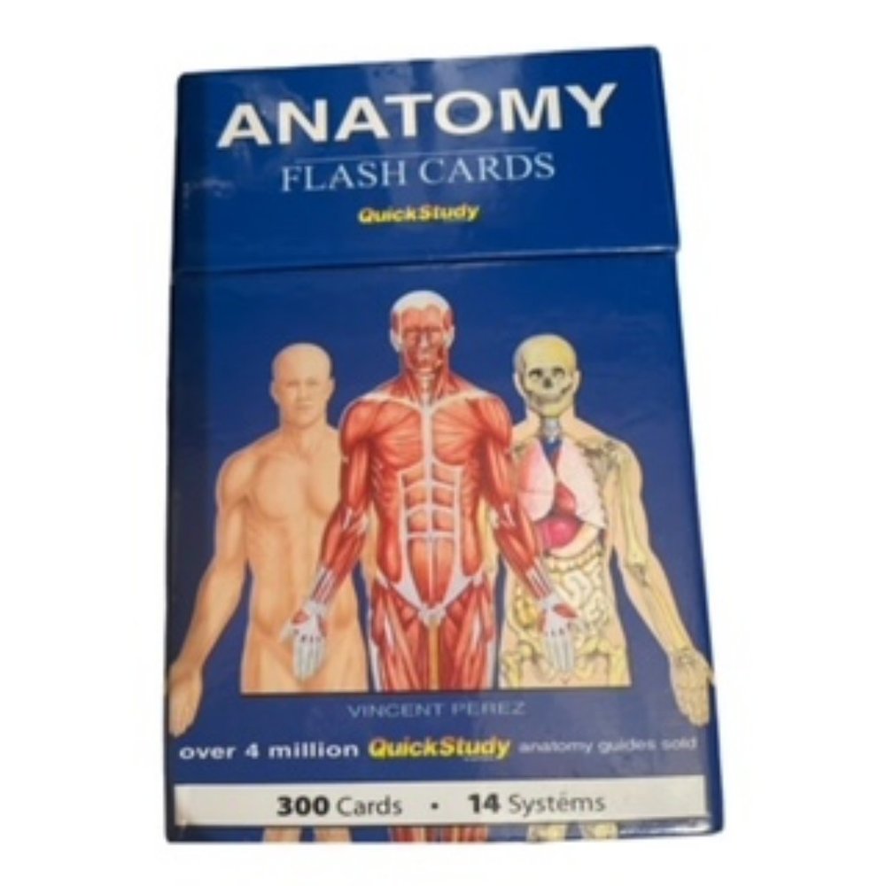 Anatomy (Quickstudy (Flash Cards)) - Cards By BarCharts, Inc. - Picture 8 of 8